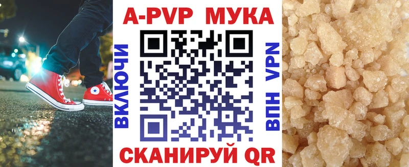 A-PVP СК  Зеленоградск 