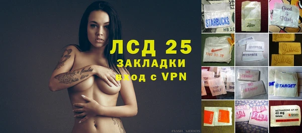 шишки Балахна