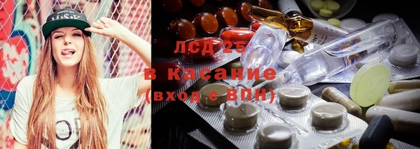 шишки Балахна